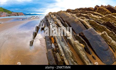 Strati fortemente inclinati di Flysch, Flysch Cliffs, Flysch Coast, Basque Coast Geopark, Basque Coast Global Geopark UNESCO, European Geopark Network, Zuma Foto Stock