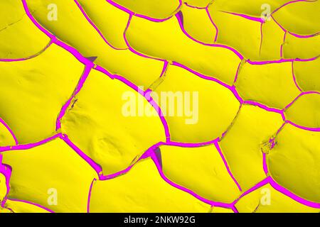 Modelli astratti colorati di fango secco. Giallo e blu. Letto del fiume asciutto. Fiume Swakop, Namibia, Africa Foto Stock