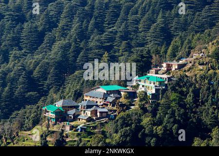 Case nelle grembo di Himalaya, Dharamshala, Himachal Pradesh, India Foto Stock