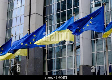 Bruxelles, Belgio. 24th Feb, 2023. Bandiere di Ucraina e UE volano davanti al Parlamento europeo in occasione del primo anniversario dell'invasione russa, a Bruxelles, Belgio 24 febbraio 2023 Credit: ALEXANDROS MICHAILIDIS/Alamy Live News Foto Stock