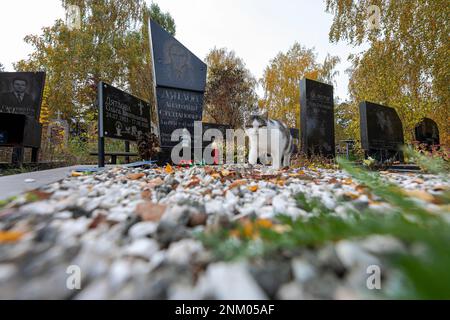 Tomba di Anatoly Dyatlov (3. 3. 1931 - 13. 12. 1995) a Kiev, Ucraina, 18 ottobre 2021. Dyatlov era un ingegnere sovietico che era il vice capo ingineo Foto Stock