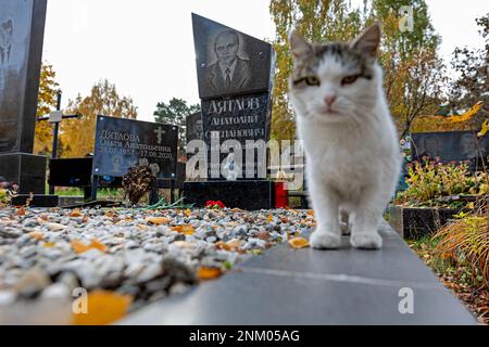 Tomba di Anatoly Dyatlov (3. 3. 1931 - 13. 12. 1995) a Kiev, Ucraina, 18 ottobre 2021. Dyatlov era un ingegnere sovietico che era il vice capo ingineo Foto Stock