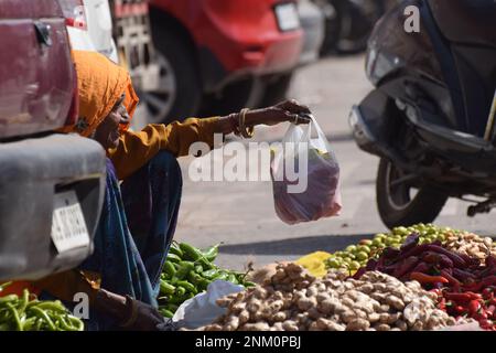 Una donna anziana in abiti tradizionali luminosi che vendono frutta e verdura dalla strada a Jaipur, India Foto Stock