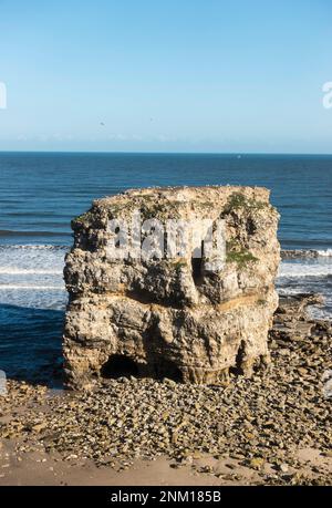 Marsden Rock uno stack marino di calcare magnesiano all'interno di Marsden Bay, Inghilterra nord-orientale, Regno Unito Foto Stock