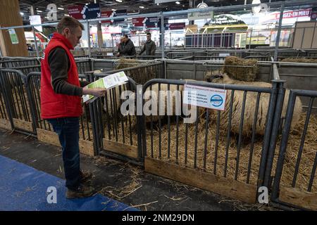 Parigi, Francia. 24th Feb, 2023. I membri del personale preparano i preparativi prima dell'apertura della Fiera Internazionale dell'Agricoltura (Salone dell'Agricoltura) a Parigi, Francia, 24 febbraio 2023. L'edizione 2023 della Fiera Internazionale dell'Agricoltura si terrà a Parigi dal 25 febbraio al 5 marzo. Credit: Aurelien Morissard/Xinhua/Alamy Live News Foto Stock