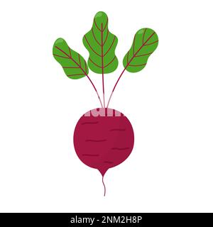 Elemento isolato di barbabietola in stile cartone animato su bianco. Verdure intere di barbabietole con foglie Illustrazione Vettoriale