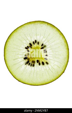 Kiwi, kiwi isolato, sfondo bianco, modello, modello di frutta Foto Stock