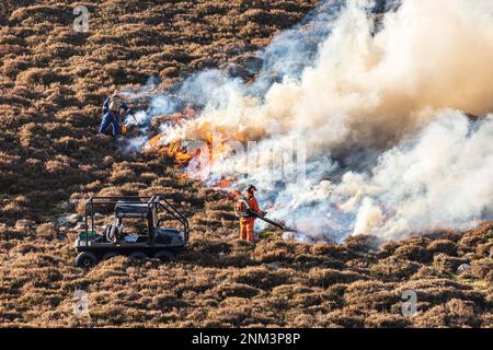 La combustione controllata di brughiera di erica (altalene o muirburn) sulle pendici di Sgor Mor a sud di Braemar, Aberdeenshire, Scozia UK Foto Stock