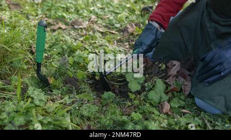 Giovane uomo contadino che tilla il terreno con un piccone minuscolo, primo piano, concetto contadino Foto Stock