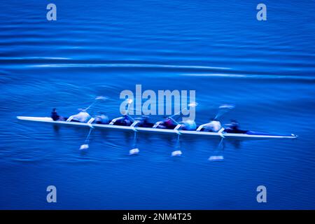 Squadra di sculling in movimento pratica sul lago Ladybird, Austin, Texas. Foto Stock