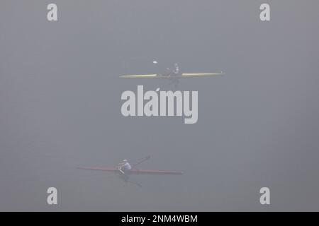 Due sculture singole in nebbia sul lago Ladybird, Austin, Texas Foto Stock