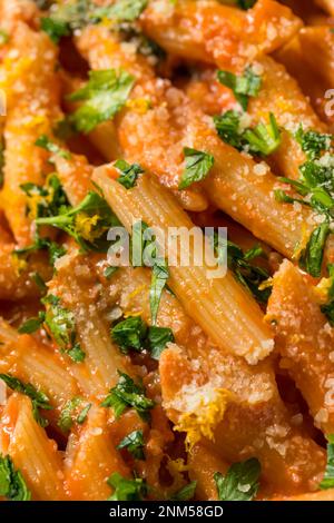 Pasta fatta in casa Vermouth Penne con pomodoro e formaggio Foto Stock