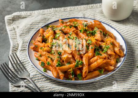 Pasta fatta in casa Vermouth Penne con pomodoro e formaggio Foto Stock