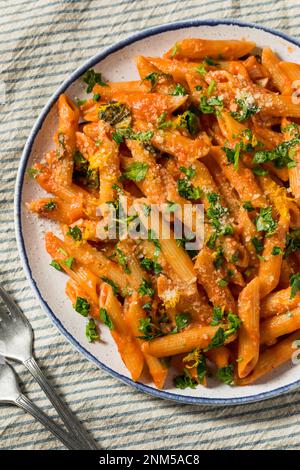 Pasta fatta in casa Vermouth Penne con pomodoro e formaggio Foto Stock