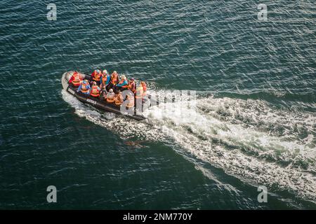 Esploratori a cavallo di un Zodiac, in seno Almirantazgo, PN Alberto De Agostini, Tierra del Fuego, Patagonia, Cile Foto Stock