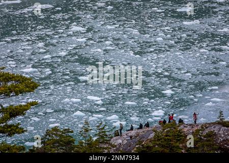 I turisti, Pía fiordo, Canale Beagle (ramo di nord-ovest), PN Alberto De Agostini, Tierra del Fuego, Patagonia, Cile Foto Stock