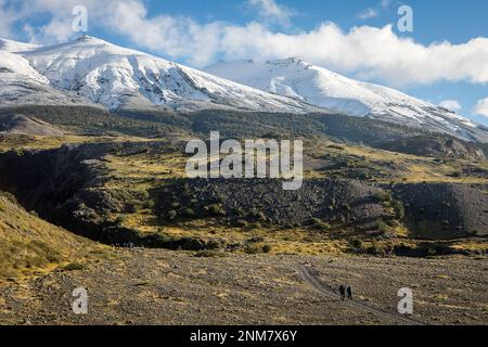 Gli escursionisti a piedi tra Torres e rifugio Rifugio Cuernos, parco nazionale Torres del Paine, Patagonia, Cile Foto Stock