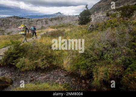 Gli escursionisti a piedi, tra area camping Italiano e Paine Grande rifugio, parco nazionale Torres del Paine, Patagonia, Cile Foto Stock