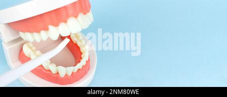 Falsi denti con irrigatore per cavità orale che pulisce denti, mascelle. Concetto di controllo degli strumenti odontoiatrici e dell'igienista dentale. Foto Stock