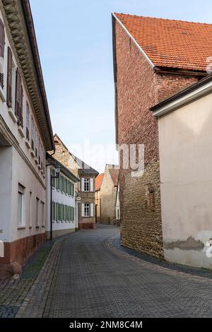 Il comune di Flörsheim-Dalsheim vicino Worms in Renish Hesse è famoso per la sua struttura medievale Fleckenmauer Foto Stock