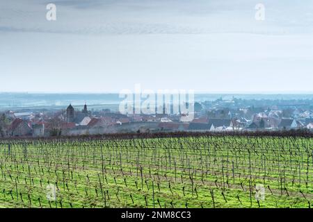 Il comune di Flörsheim-Dalsheim vicino Worms in Renish Hesse è famoso per la sua struttura medievale Fleckenmauer Foto Stock
