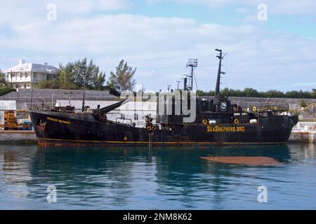 Farley Mowat dell'organizzazione Sea Shepherd ormeggiato a St George's Harbour Bermuda nel febbraio 2008 Foto Stock