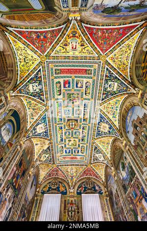 Soffitto della Biblioteca Piccolomini a Siena, Toscana, Italia Foto Stock