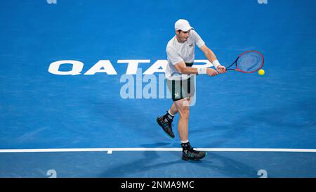 Jiri Lehecka della Repubblica Ceca vs Andy Murray della Gran Bretagna durante la loro partita di semifinale dell'ATP 250 Qatar ExxonMobil Open Tennis Tournament 2023 al Khalifa International Tennis Complex il 24 febbraio 2023 a Doha, Qatar. Foto di Victor Fraile / Power Sport Images Credit: Power Sport Images Ltd/Alamy Live News Foto Stock