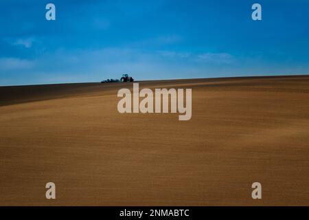 Lavorare con un trattore agricolo nei campi della Moravia. Un meraviglioso cielo blu. repubblica Ceca Foto Stock