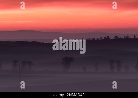 Splendidi campi moravi con viali di alberi avvolti nella nebbia mattutina. repubblica Ceca Foto Stock