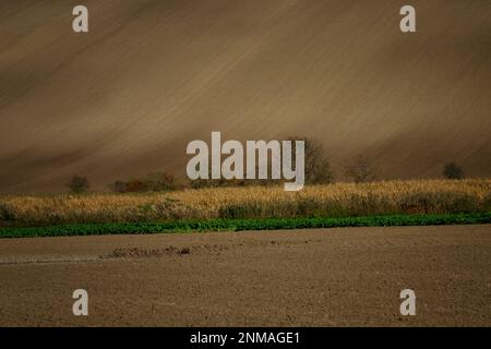 Splendido paesaggio aspro di campi moravi arati nella stagione autunnale. repubblica Ceca Foto Stock