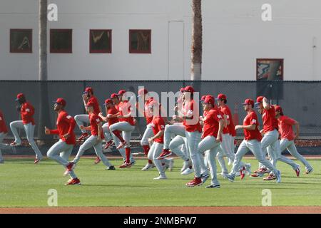 Clearwater, Florida, Stati Uniti. 24th Feb, 2023. I giocatori dei Philadelphia Phillies fanno esercizi durante gli allenamenti primaverili al BayCare Ballpark. (Credit Image: © David G. McIntyre/ZUMA Press Wire) SOLO PER USO EDITORIALE! Non per USO commerciale! Credit: ZUMA Press, Inc./Alamy Live News Foto Stock