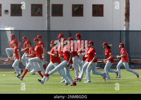 Clearwater, Florida, Stati Uniti. 24th Feb, 2023. I giocatori dei Philadelphia Phillies fanno esercizi durante gli allenamenti primaverili al BayCare Ballpark. (Credit Image: © David G. McIntyre/ZUMA Press Wire) SOLO PER USO EDITORIALE! Non per USO commerciale! Credit: ZUMA Press, Inc./Alamy Live News Foto Stock