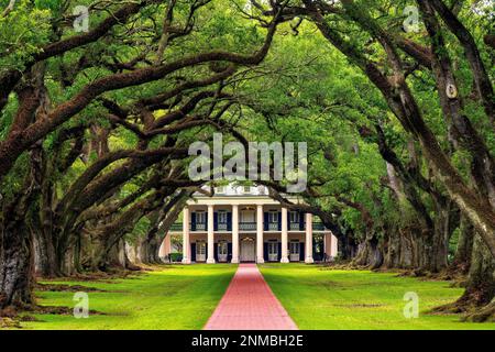 Oak Alley Historic Plantation, Vacherie, St.James Parish, New Orleans, Louisiana Stati Uniti, Stati Uniti Foto Stock