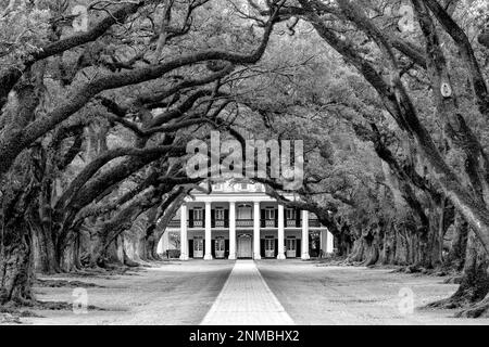 Oak Alley Historic Plantation, Vacherie, St.James Parish, New Orleans, Louisiana Stati Uniti, Stati Uniti Foto Stock