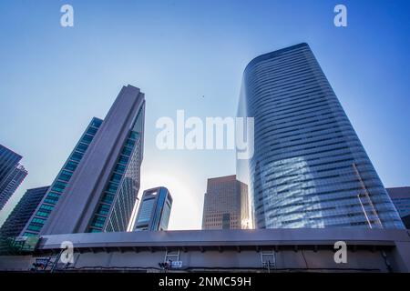 Grattacieli del centro di Tokyo - Vista ad angolo basso e 232 corvi volano molto in alto sui grattacieli. Primavera. Foto Stock