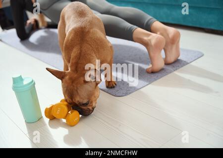 Donna sportiva che fa esercizio di forza sul tappetino yoga Foto Stock