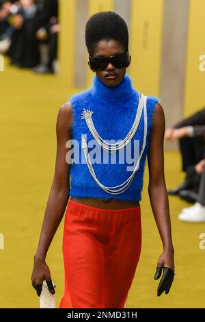 Milano, Italia. 24th Feb, 2023. GUCCI Autunno-Inverno 2023-2024 durante la settimana della Moda di Milano il 2023 febbraio - Milano; Italia 24/02/2023 Credit: dpa/Alamy Live News Foto Stock