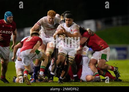 Colwyn Bay, Regno Unito. 24th Feb, 2023. Tristan Woodman of England U20's si allontana da un maul durante la partita delle sei Nazioni del 2023 U20 Galles vs Inghilterra allo Stadiwm CSM, Colwyn Bay, Regno Unito, 24th Febbraio 2023 (Foto di Steve Flynn/News Images) a Colwyn Bay, Regno Unito il 2/24/2023. (Foto di Steve Flynn/News Images/Sipa USA) Credit: Sipa USA/Alamy Live News Foto Stock