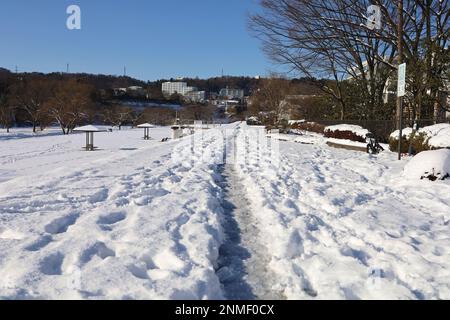 Sendai, Miyagi, Giappone, febbraio 2023. Scena della neve intorno al fiume Hirose in inverno Foto Stock