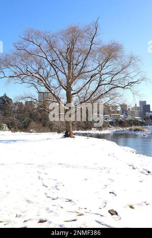 Sendai, Miyagi, Giappone, febbraio 2023. Scena della neve intorno al fiume Hirose in inverno Foto Stock