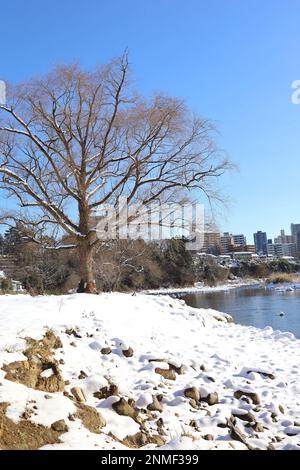 Sendai, Miyagi, Giappone, febbraio 2023. Scena della neve intorno al fiume Hirose in inverno Foto Stock