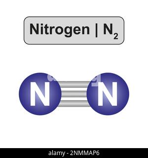 Molecola di azoto, illustrazione Foto Stock