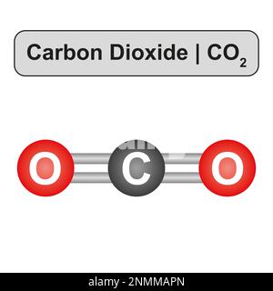 Molecola di anidride carbonica, illustrazione Foto Stock