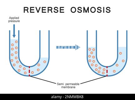 Osmosi inversa, illustrazione Foto Stock