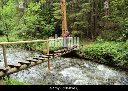 Un turista nelle splendide gole del Parco Nazionale del Paradiso Slovacco. Slovacchia Foto Stock