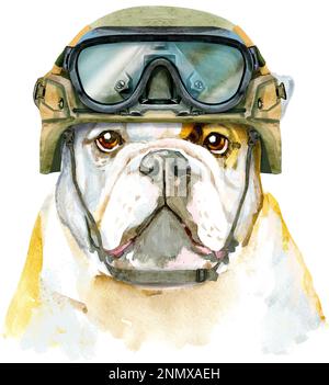 Carino cane in casco tattico militare. Grafica per magliette da cane. Acquerello illustrazione del cane Foto Stock