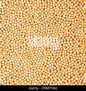 Cibo sfondo. Grossi grani gialli di piselli secchi giacciono densamente sulla superficie. Foto Stock