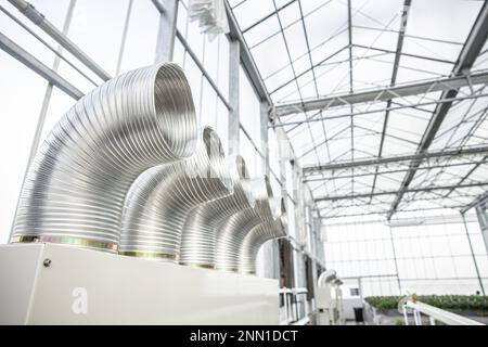 serra interna agricoltura fattoria aria ventilatore raffreddamento flusso di vento tubo temperatura tubo sistema di controllo umidità per la piantagione Foto Stock