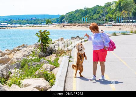 Senior elegante 73 anni donna divertirsi con il suo cocker spaniel maschio animale domestico su una passeggiata nella bella giornata di primavera a Varna Beach Promenade, Bulgaria, maggio 2022 Foto Stock